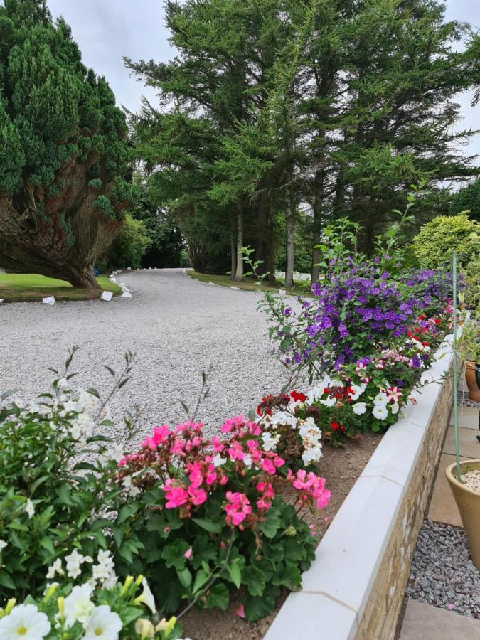 Balcary Bay Country House Hotel Auchencairn Exterior foto